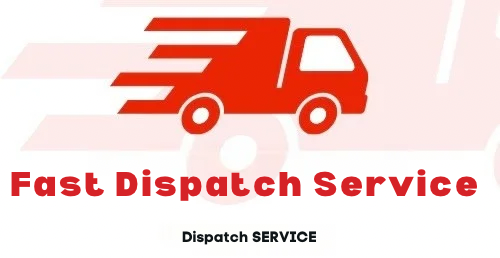Fast Dispatch Service